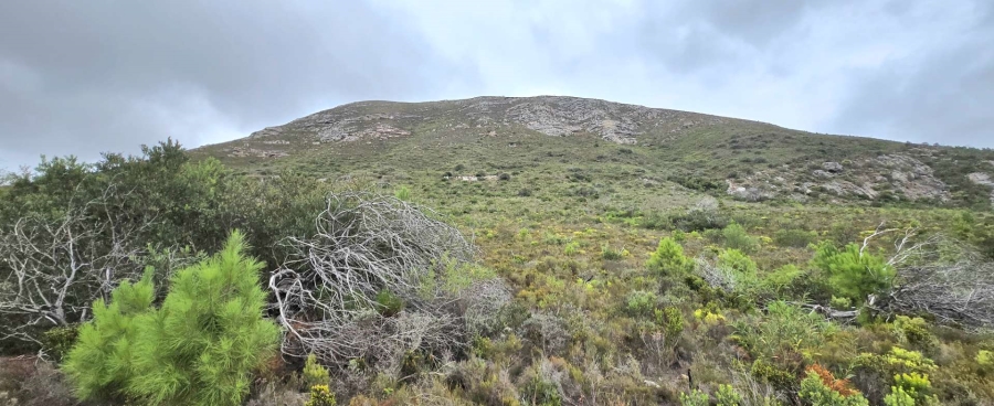 0 Bedroom Property for Sale in Franskraal Western Cape